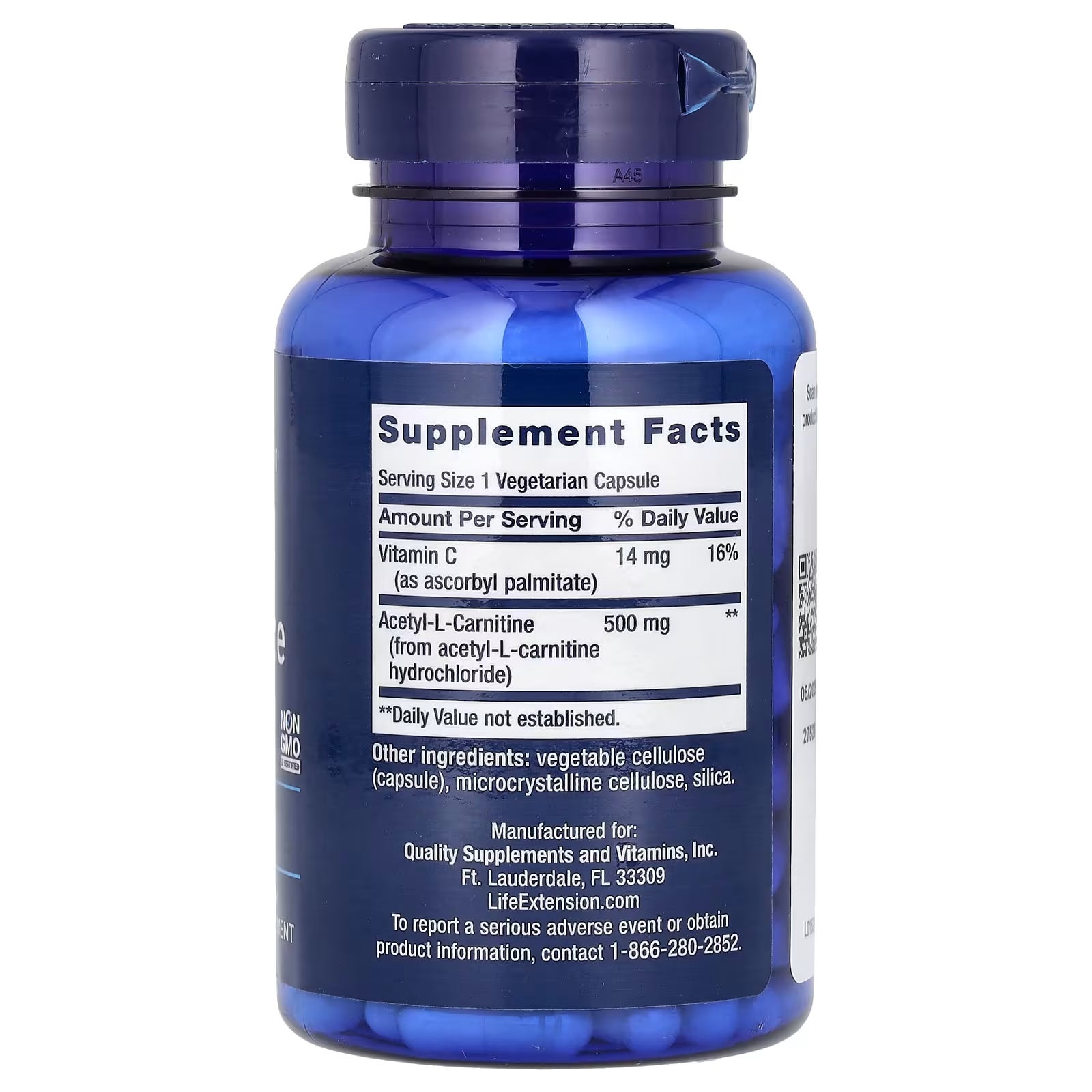 life extension creatine & acetyl l carnitine energy plus The Role of L-Carnitine in Kidney Disease and Related Metabolic Dysfunctions main image 1
